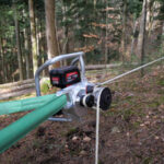 Spillwinde_Wald3
